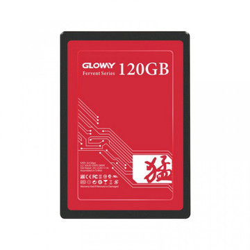 Gloway Stryker Series 120G Internal SSD Drive 240GB